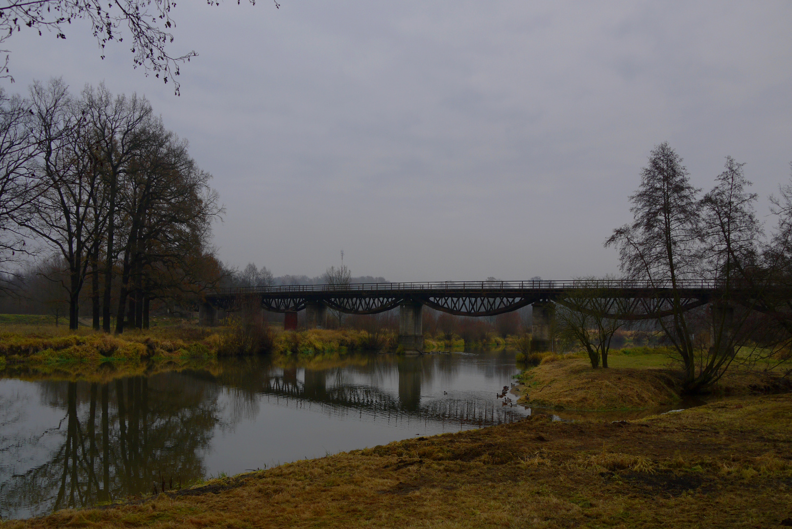 Herbst an der Lausitzer Neisse (Bad Muskau)