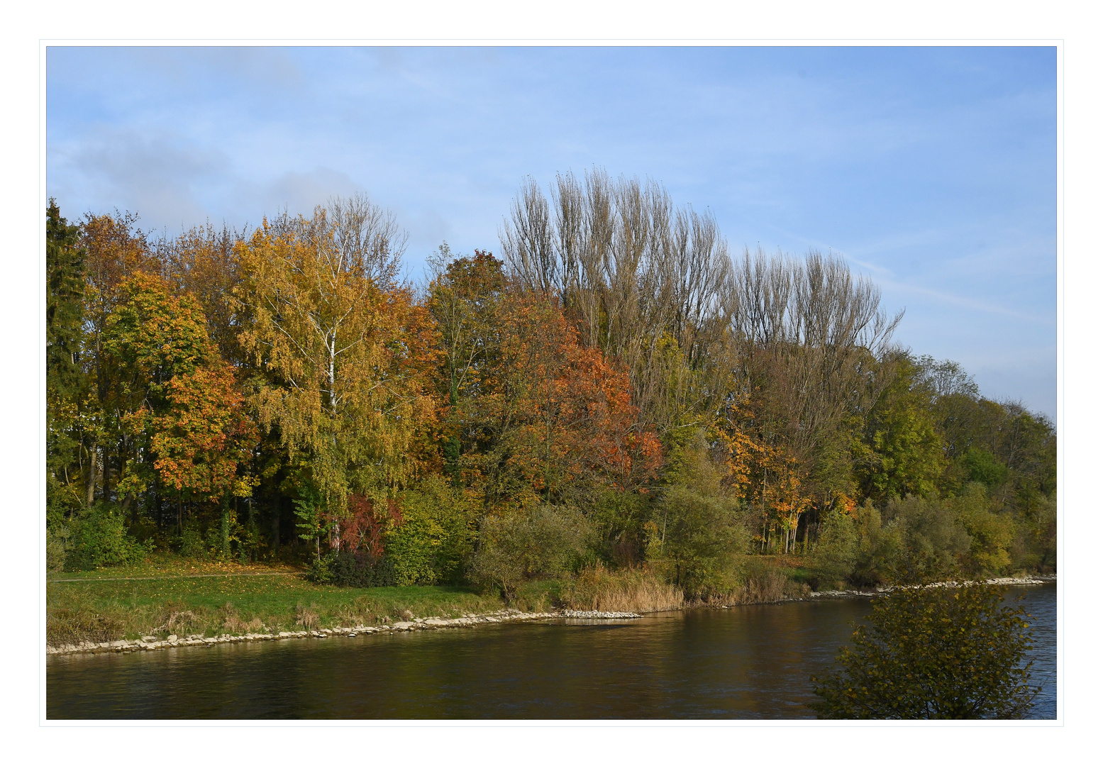 Herbst an der Limmat.