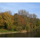 Herbst an der Limmat.