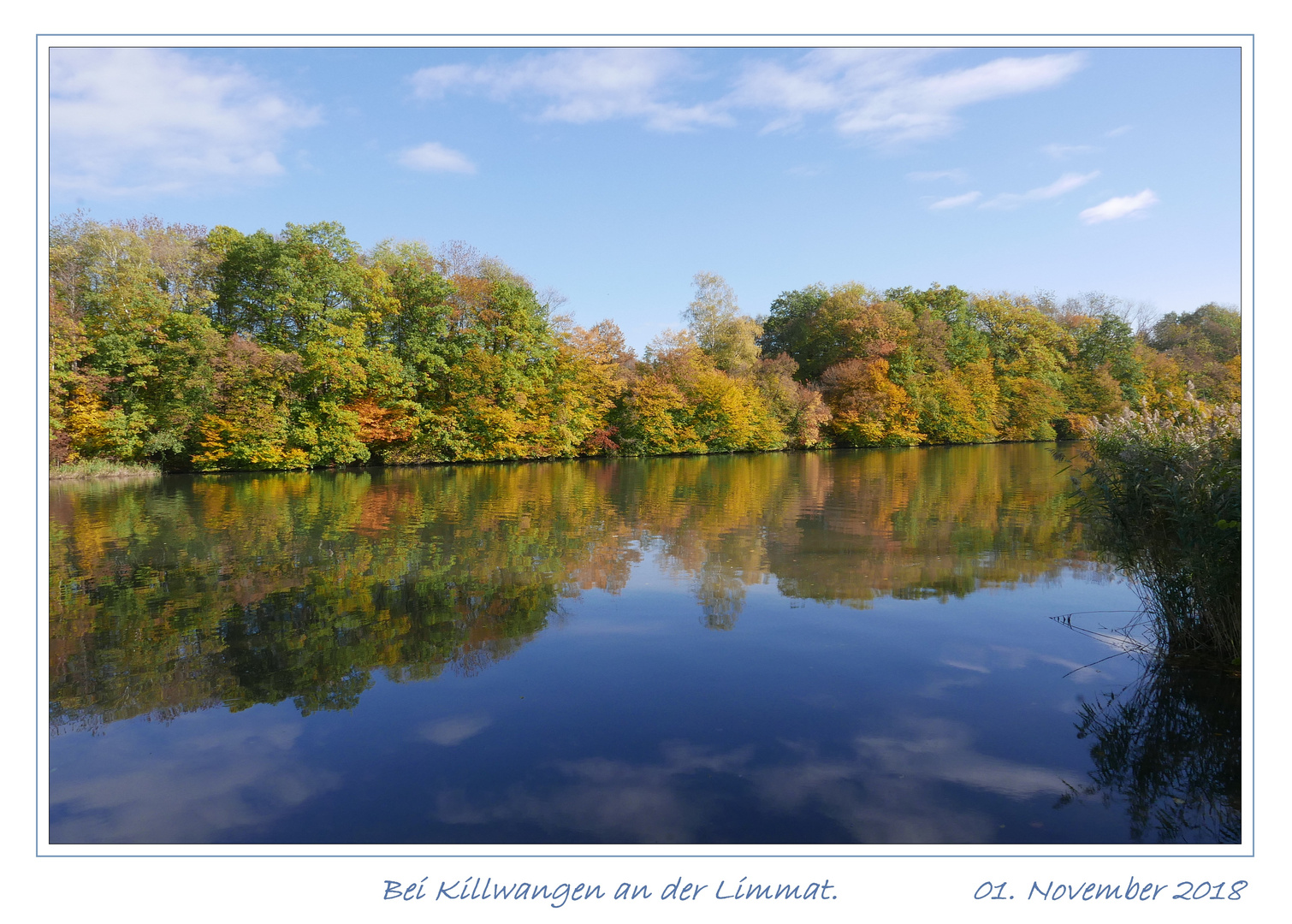 Herbst an der Limmat bei Killwangen.