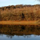 Herbst an der Lingeseetalsperre