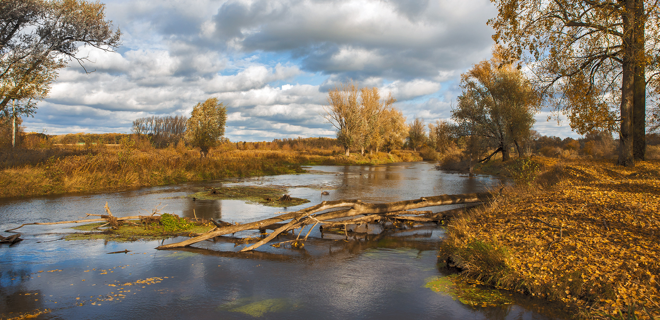 Herbst an der Lippe