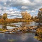 Herbst an der Lippe