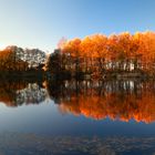 Herbst an der Lohmühle3