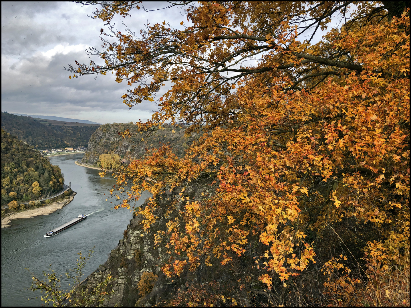 Herbst an der Loreley