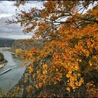 Herbst an der Loreley