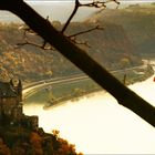 Herbst an der Loreley