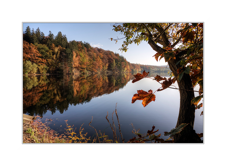 herbst an der möhne