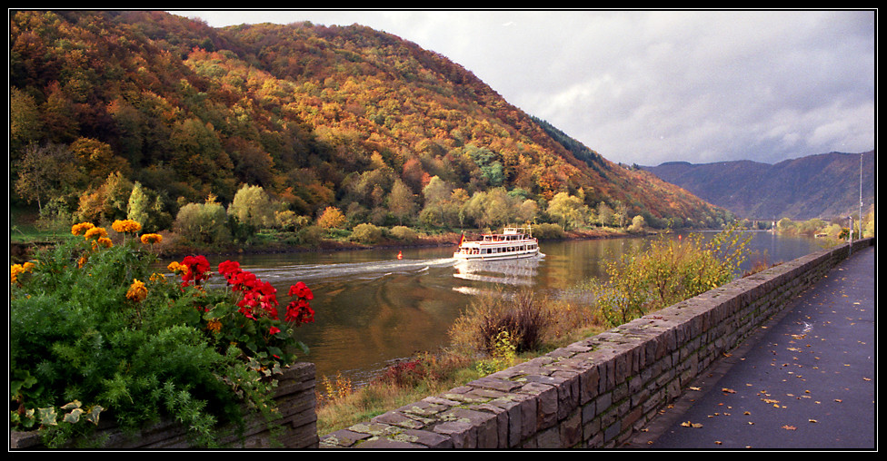 Herbst an der Mosel