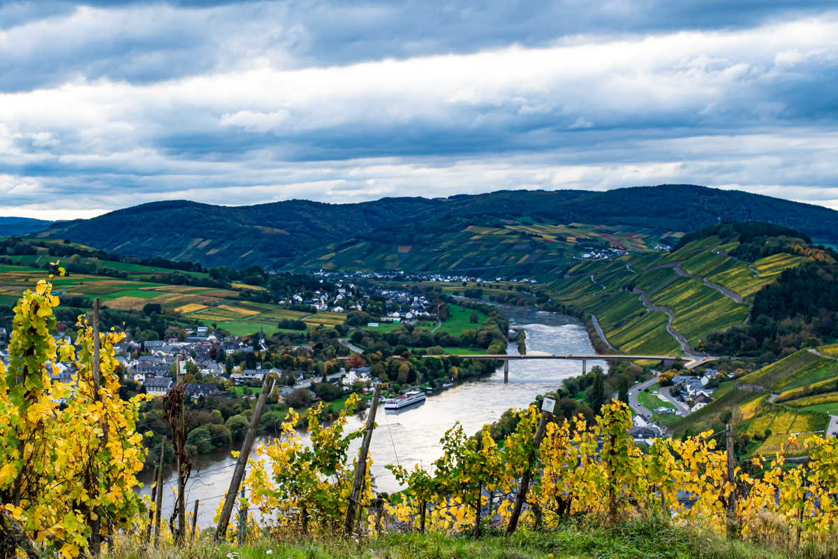 Herbst an der Mosel