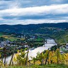 Herbst an der Mosel