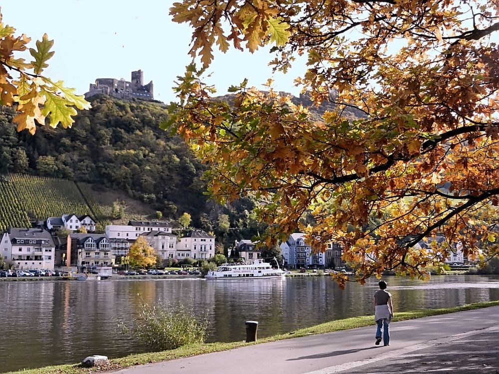 Herbst an der Mosel 1