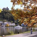 Herbst an der Mosel 1