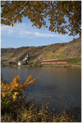 Herbst an der Mosel