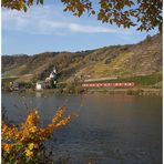 Herbst an der Mosel