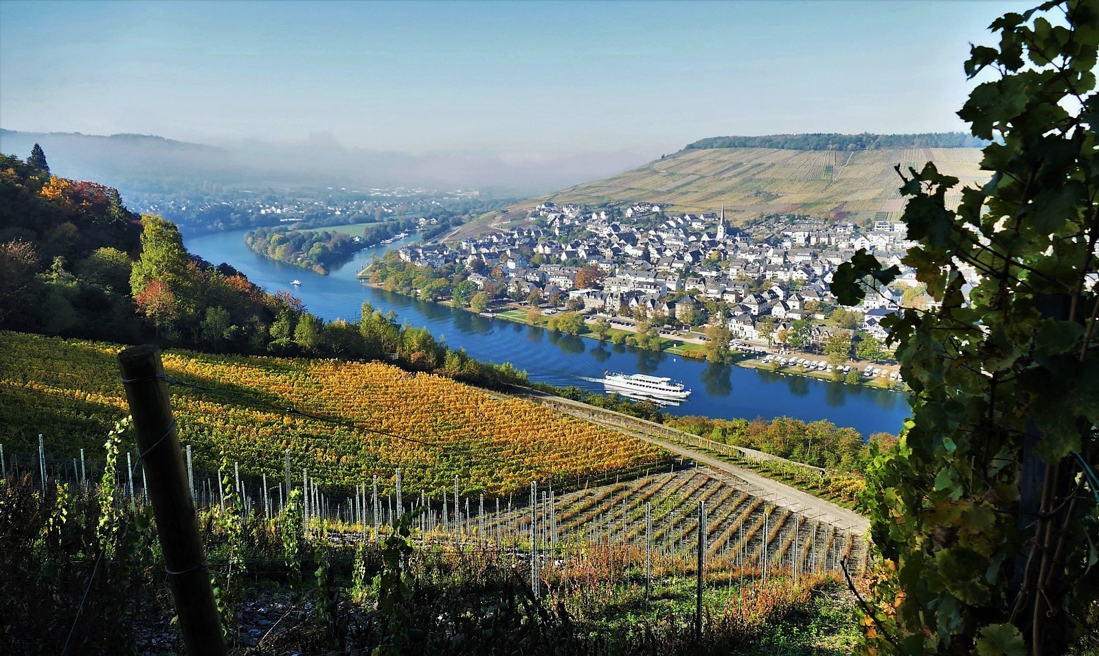 Herbst an der Mosel