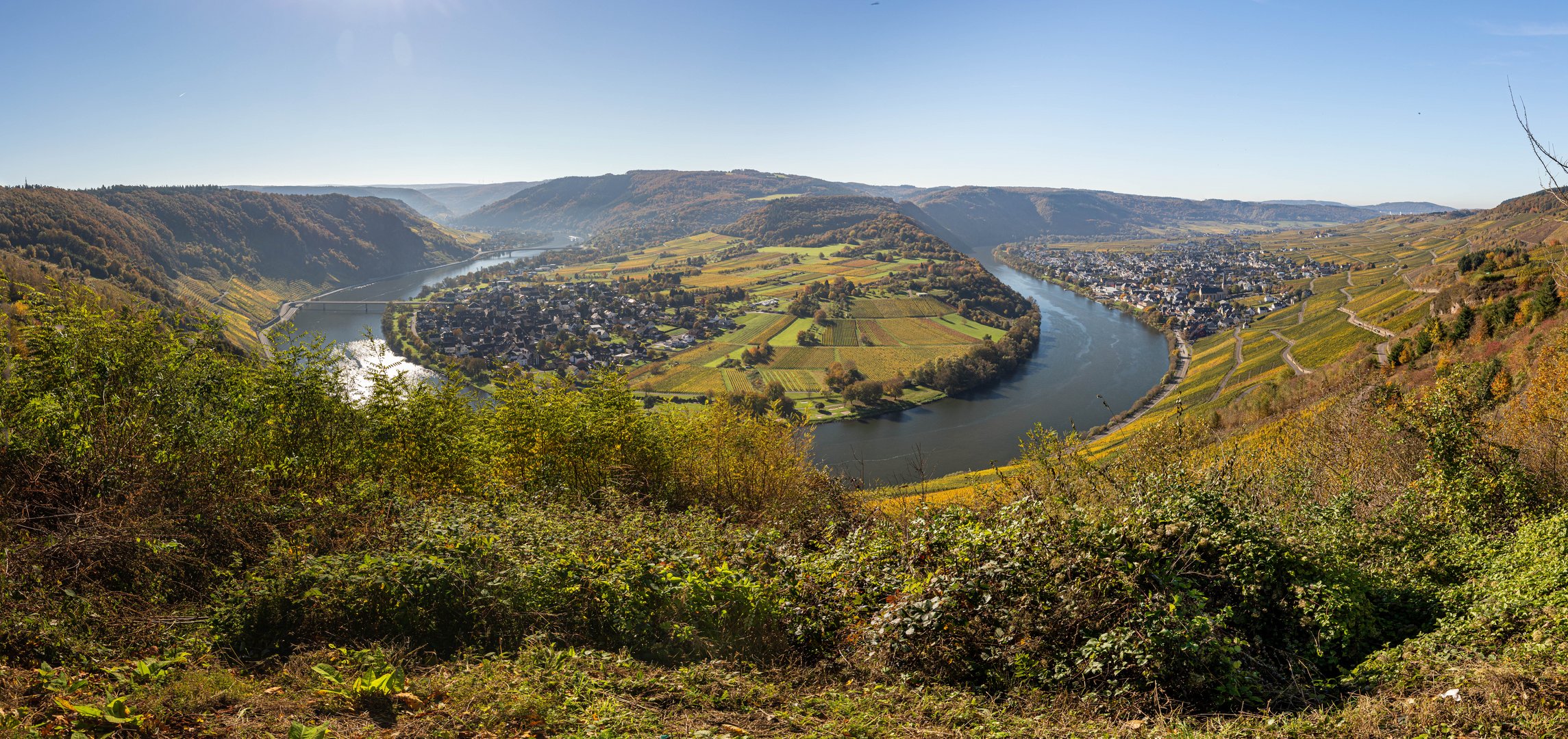 Herbst an der Mosel 2