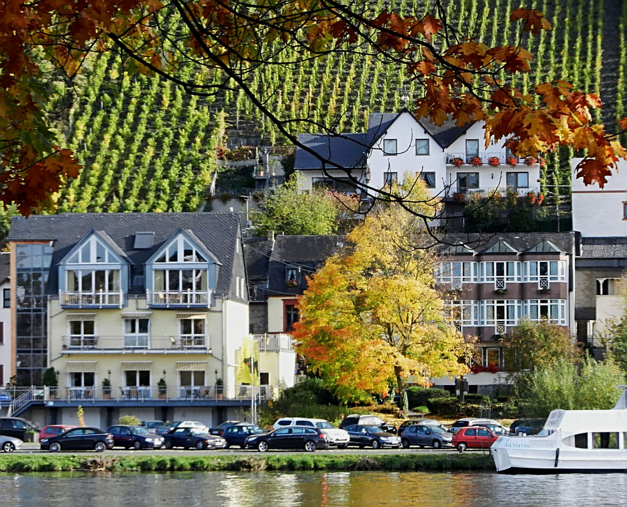 Herbst an der Mosel 2