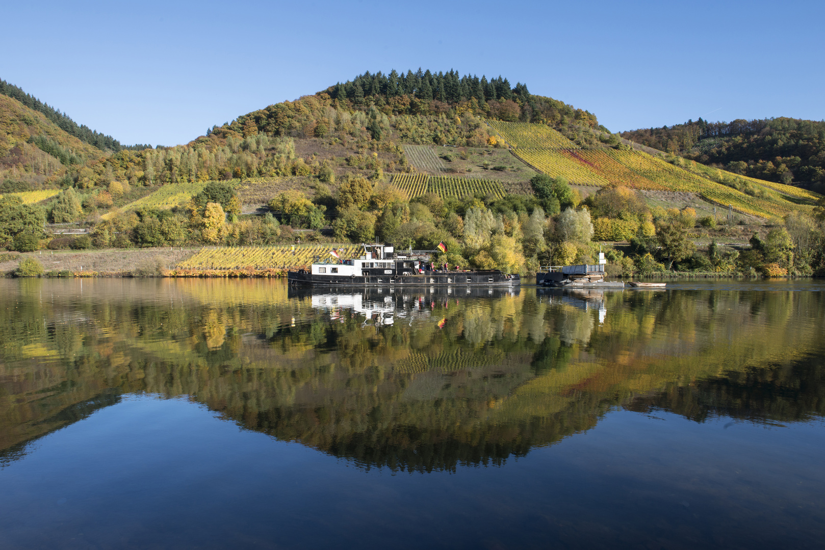 Herbst an der Mosel