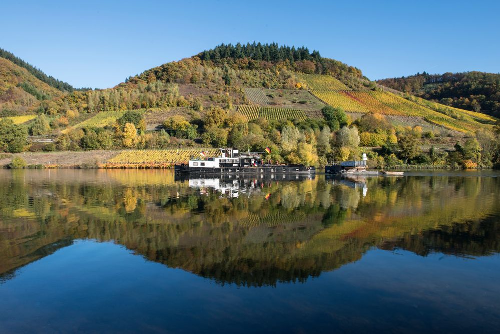 Herbst an der Mosel