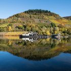 Herbst an der Mosel