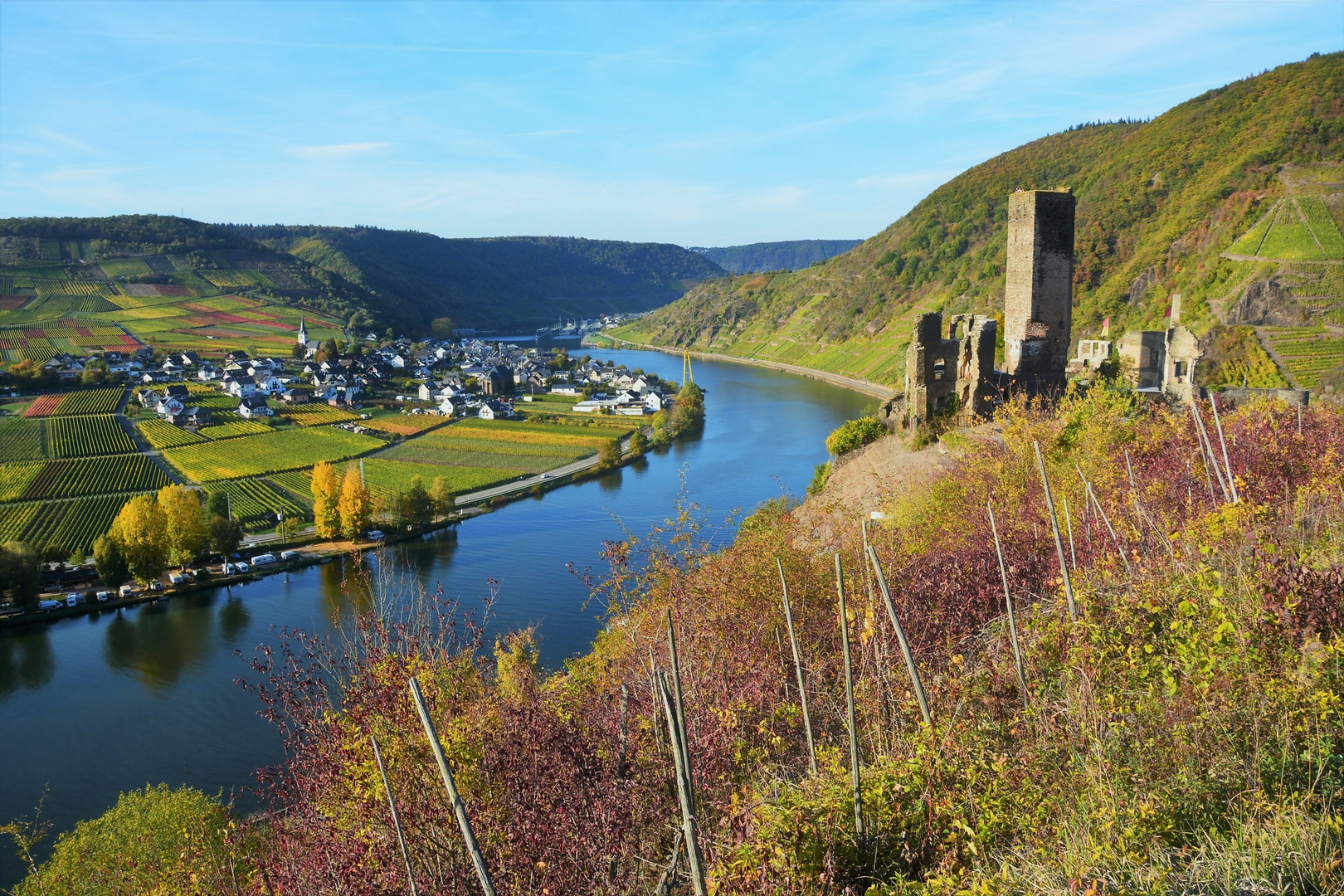 Herbst an der Mosel