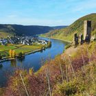 Herbst an der Mosel