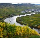 Herbst an der Mosel