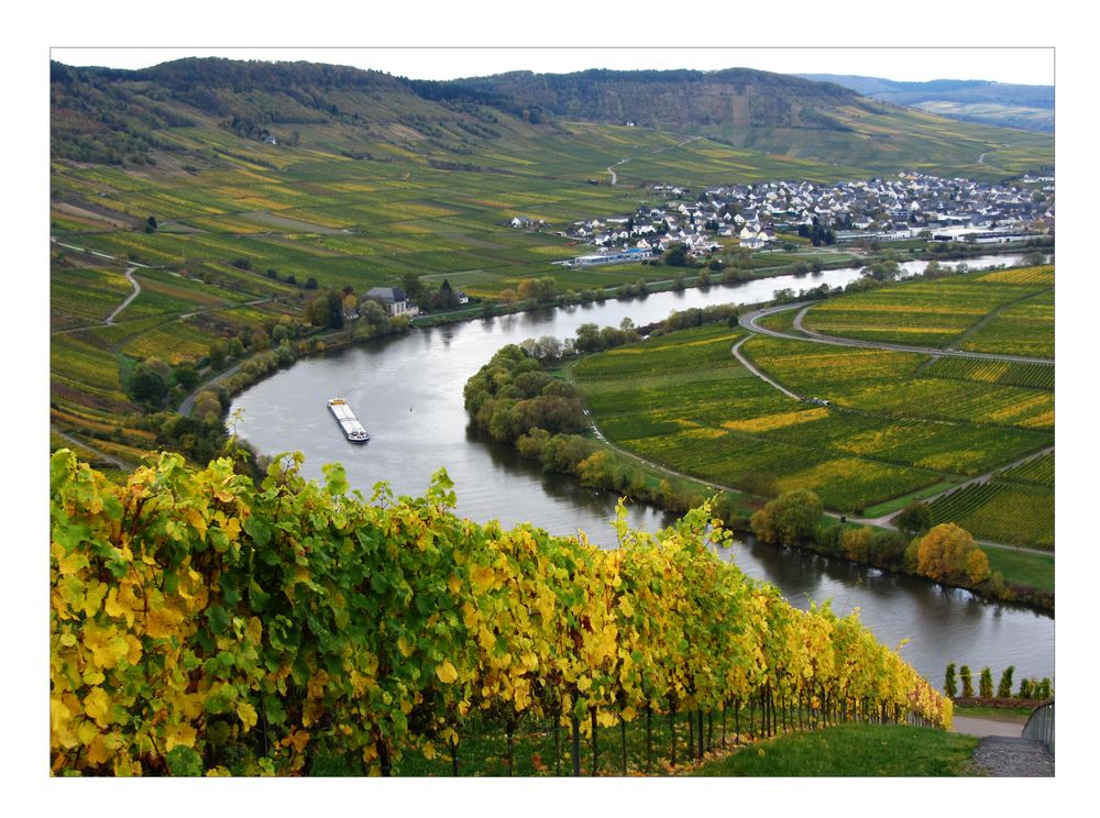 Herbst an der Mosel