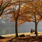 Herbst an der Mosel