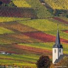 herbst an der mosel......