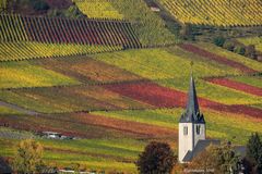 herbst an der mosel......