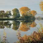 *Herbst an der Mosel*