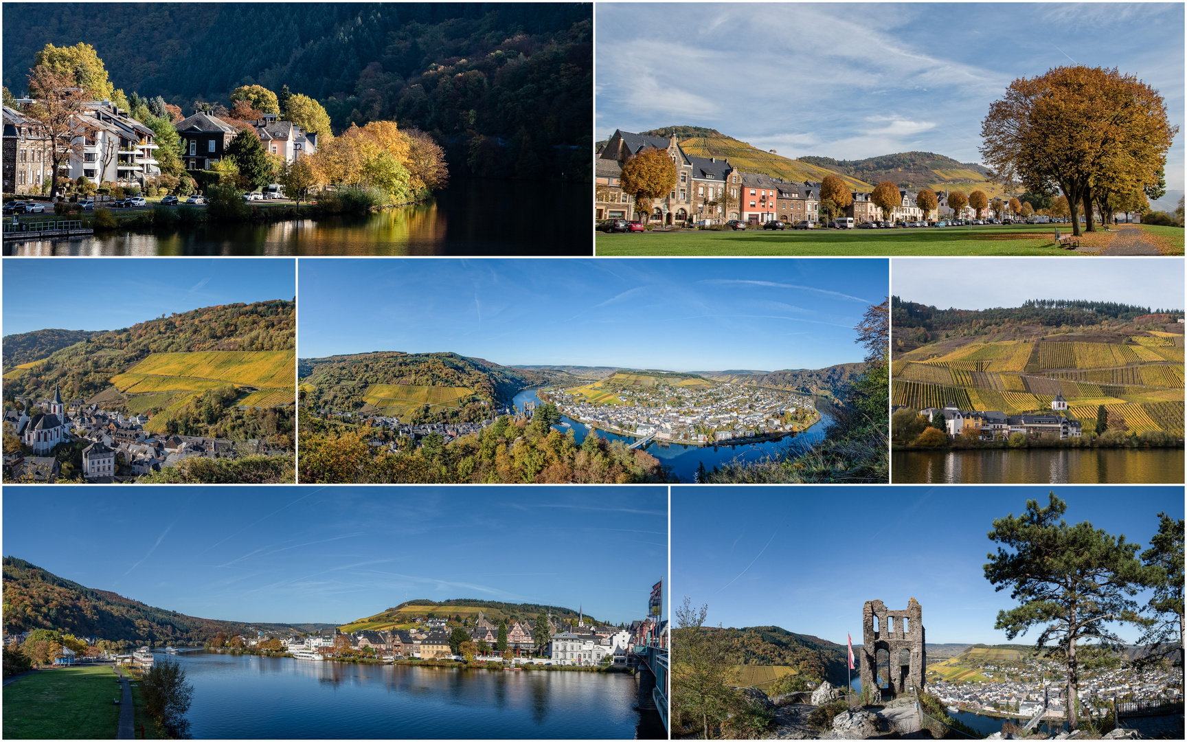 Herbst an der Mosel