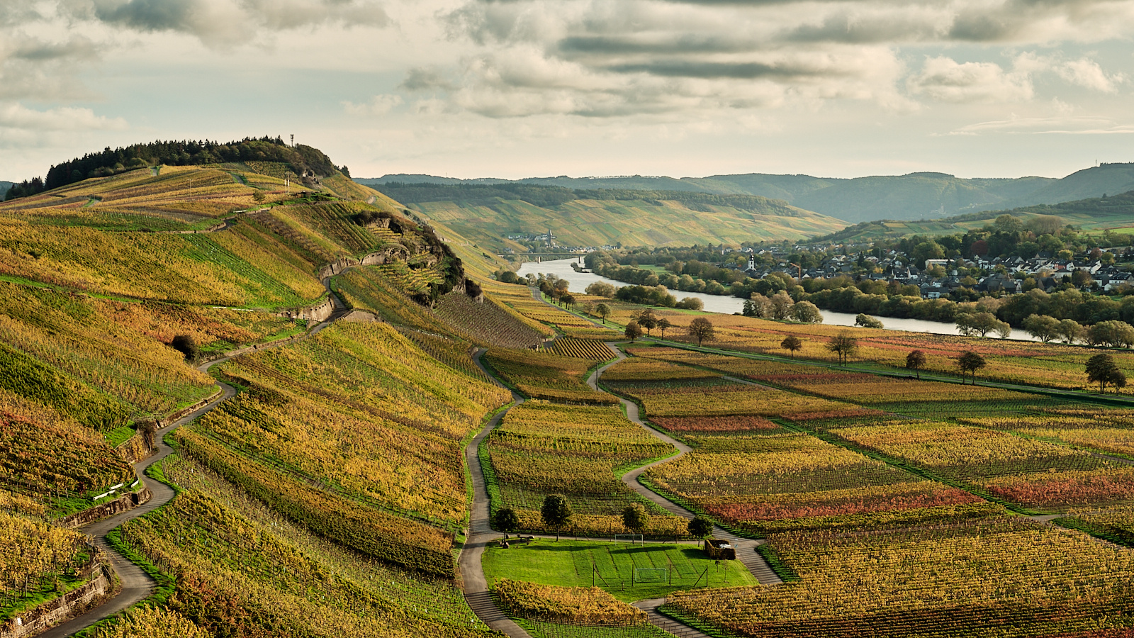 Herbst an der Mosel