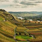 Herbst an der Mosel