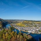 Herbst an der Mosel