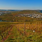 Herbst an der Mosel