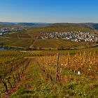 Herbst an der Mosel