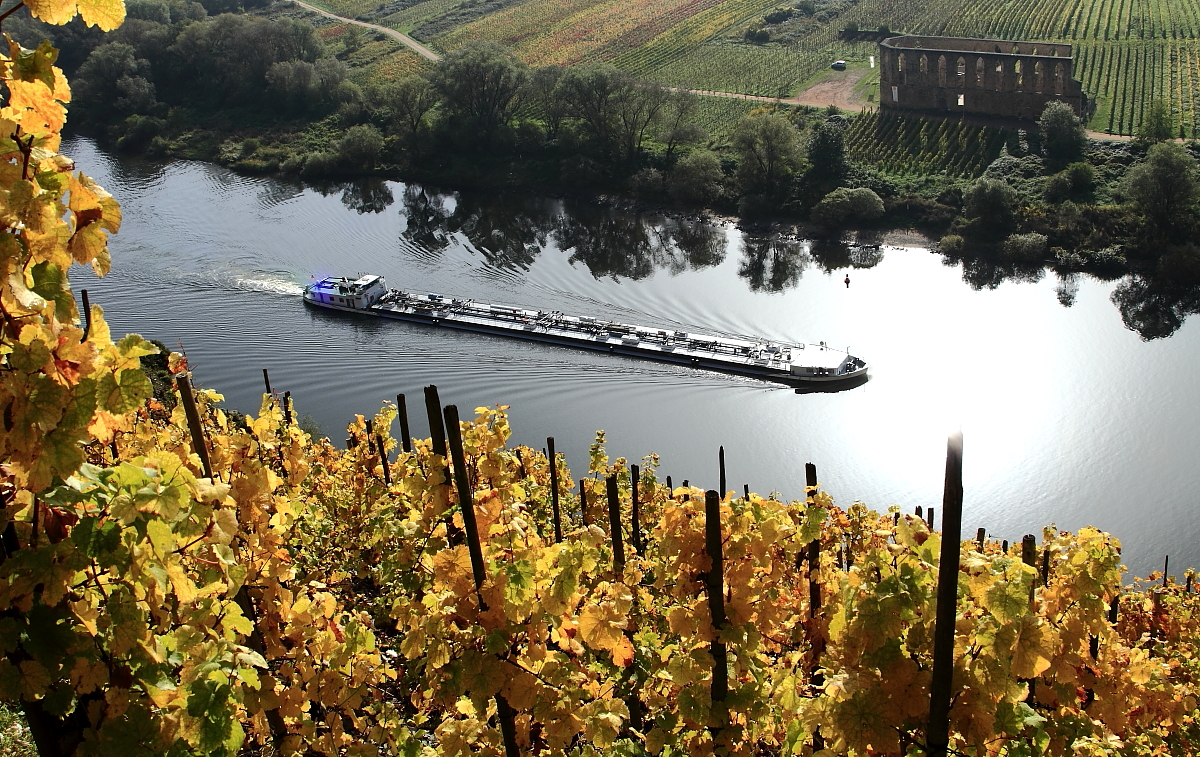 Herbst an der Mosel