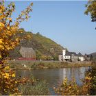 Herbst an der Mosel