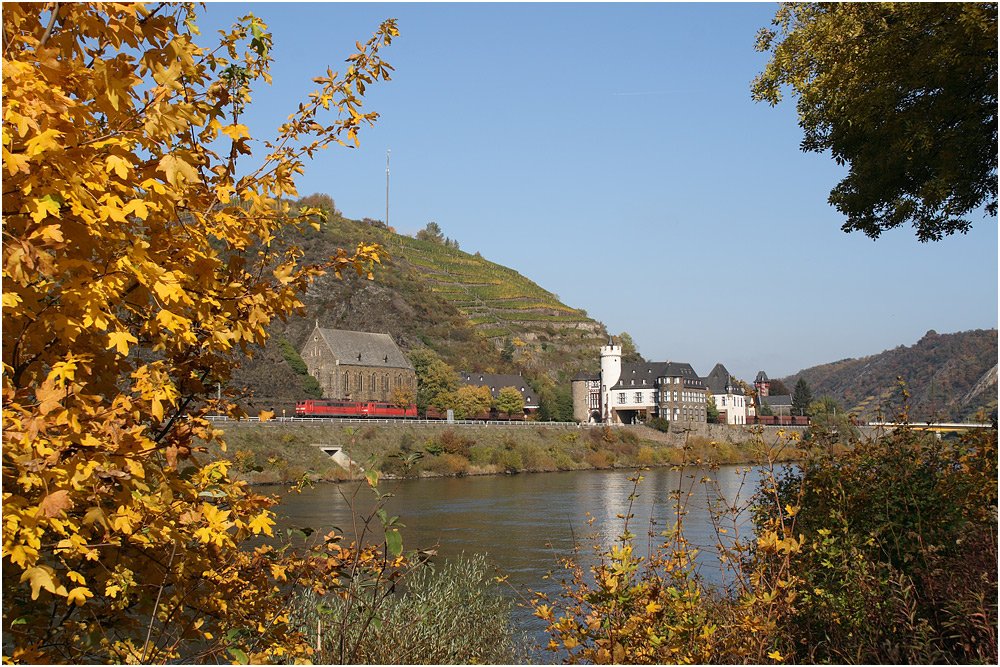 Herbst an der Mosel