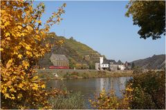 Herbst an der Mosel