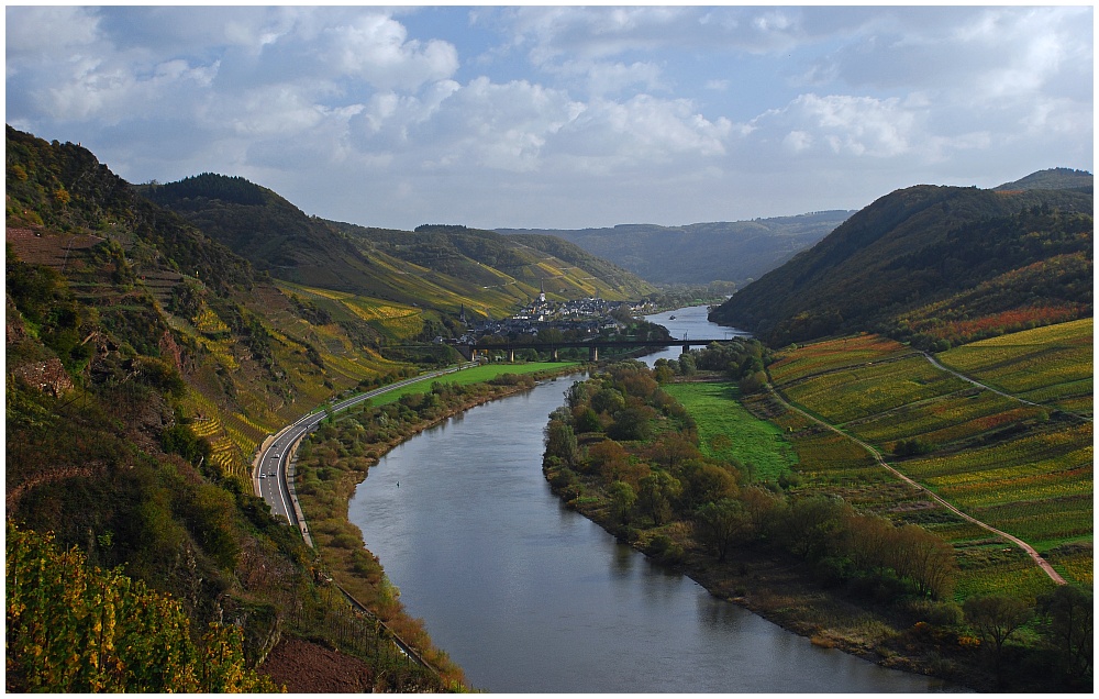 Herbst an der Mosel