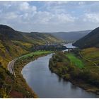 Herbst an der Mosel