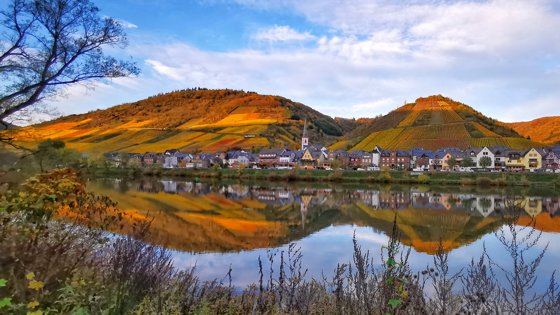 Herbst an der Mosel 