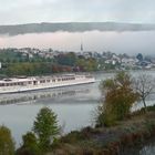 Herbst an der Mosel