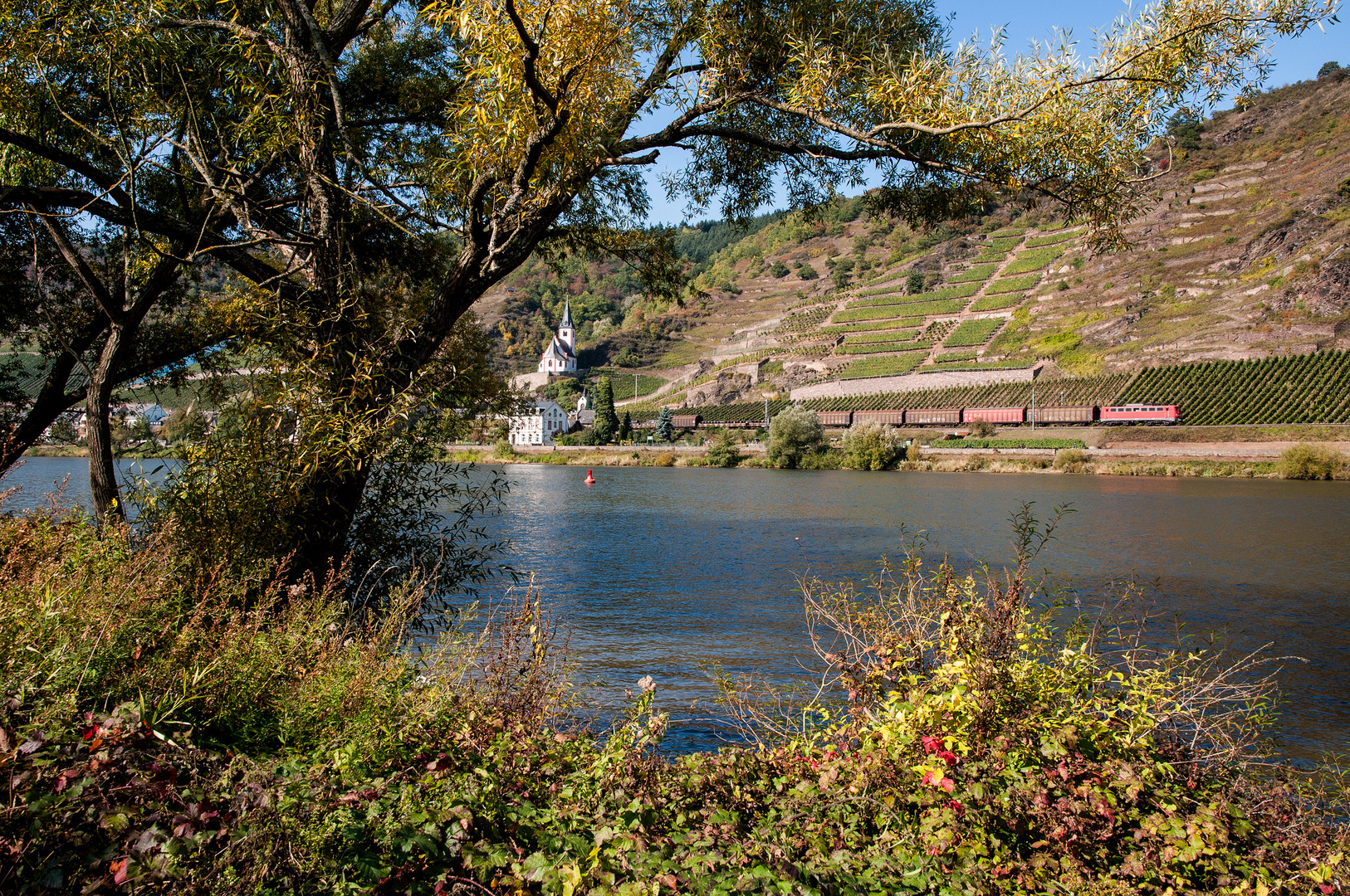 Herbst an der Mosel - I -