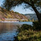 Herbst an der Mosel - II -