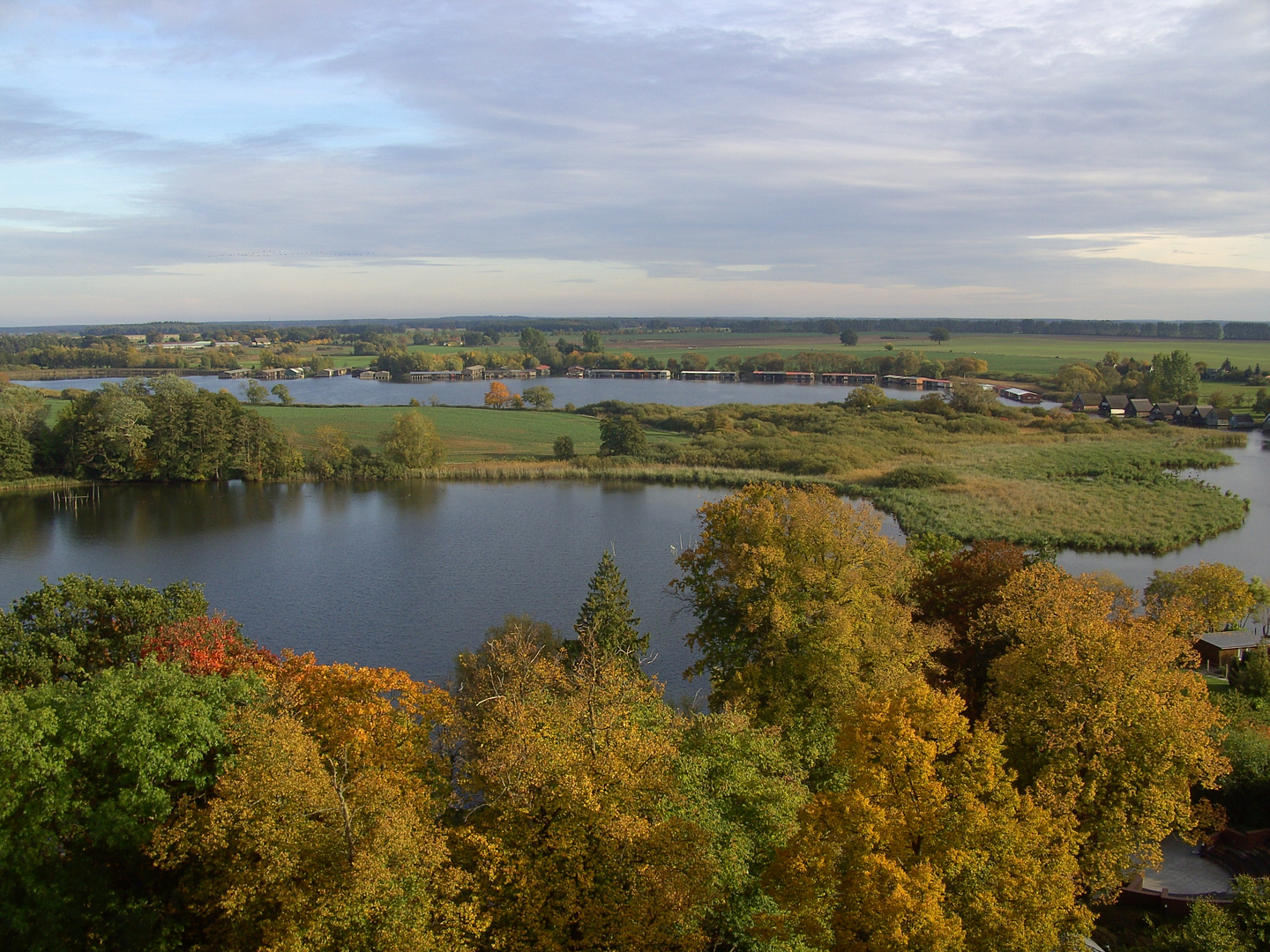 Herbst an der Müritz